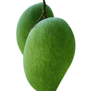 Mango Fruit Plant